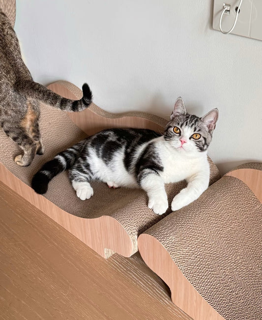 Sofa Cat Scratcher 67*29*20cm*2