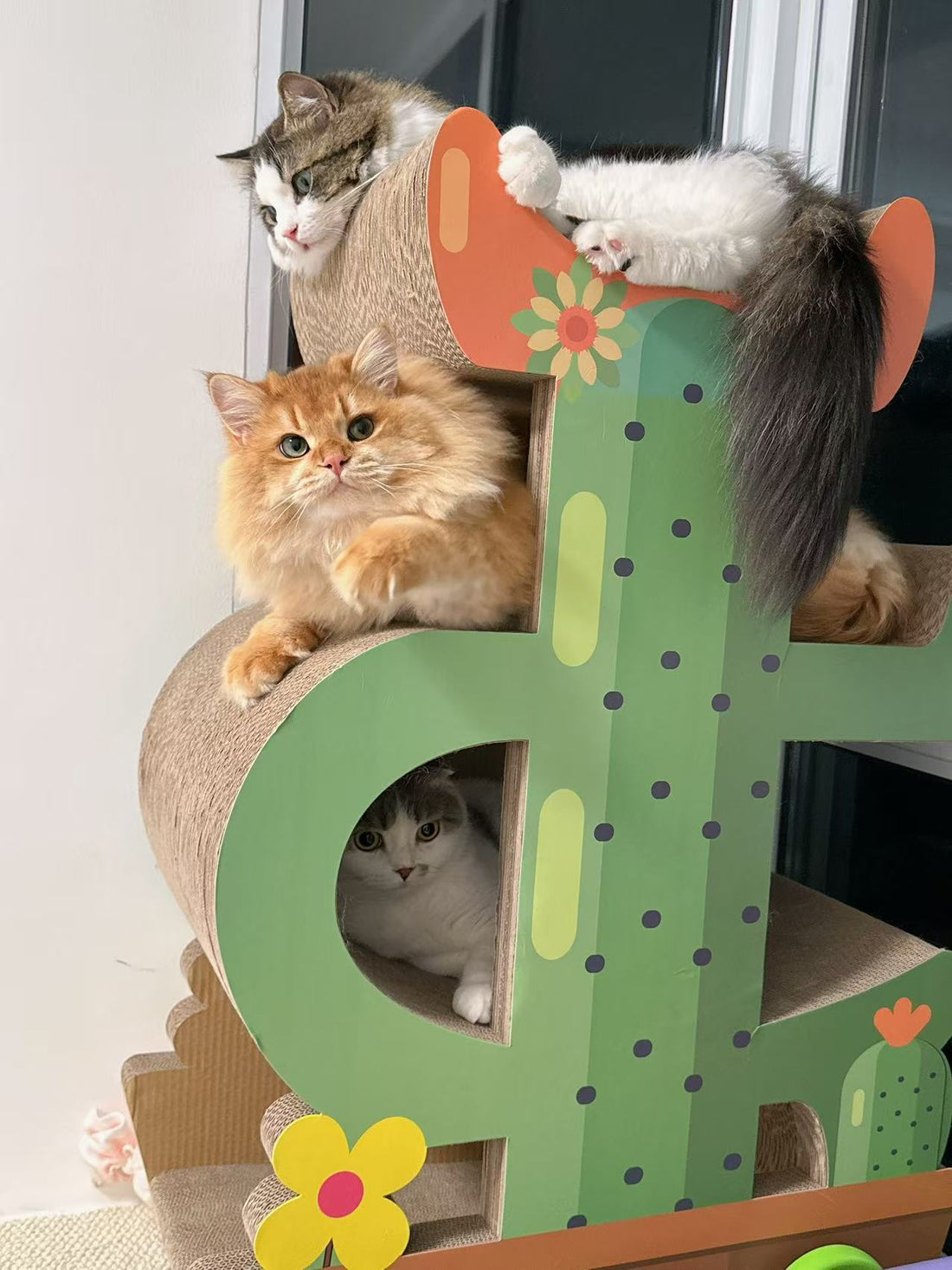 About why I opened this store