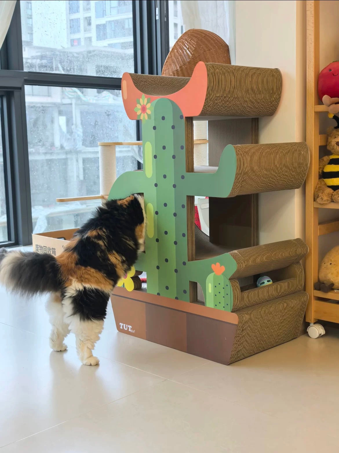 Cactus Cat Scratcher  Can Park 4 Cats 89*60*35.5cm