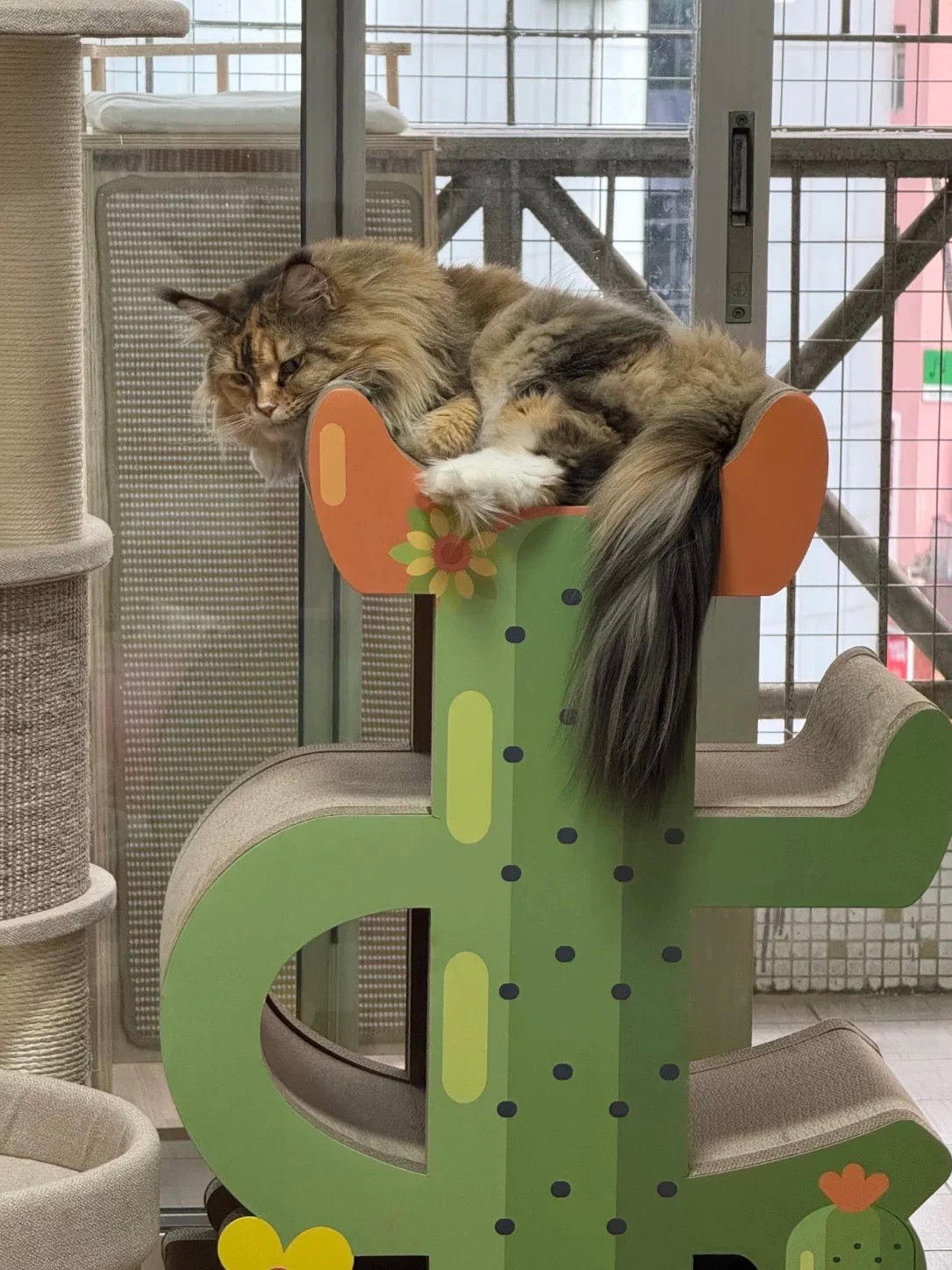 Cactus Cat Scratcher  Can Park 4 Cats 89*60*35.5cm