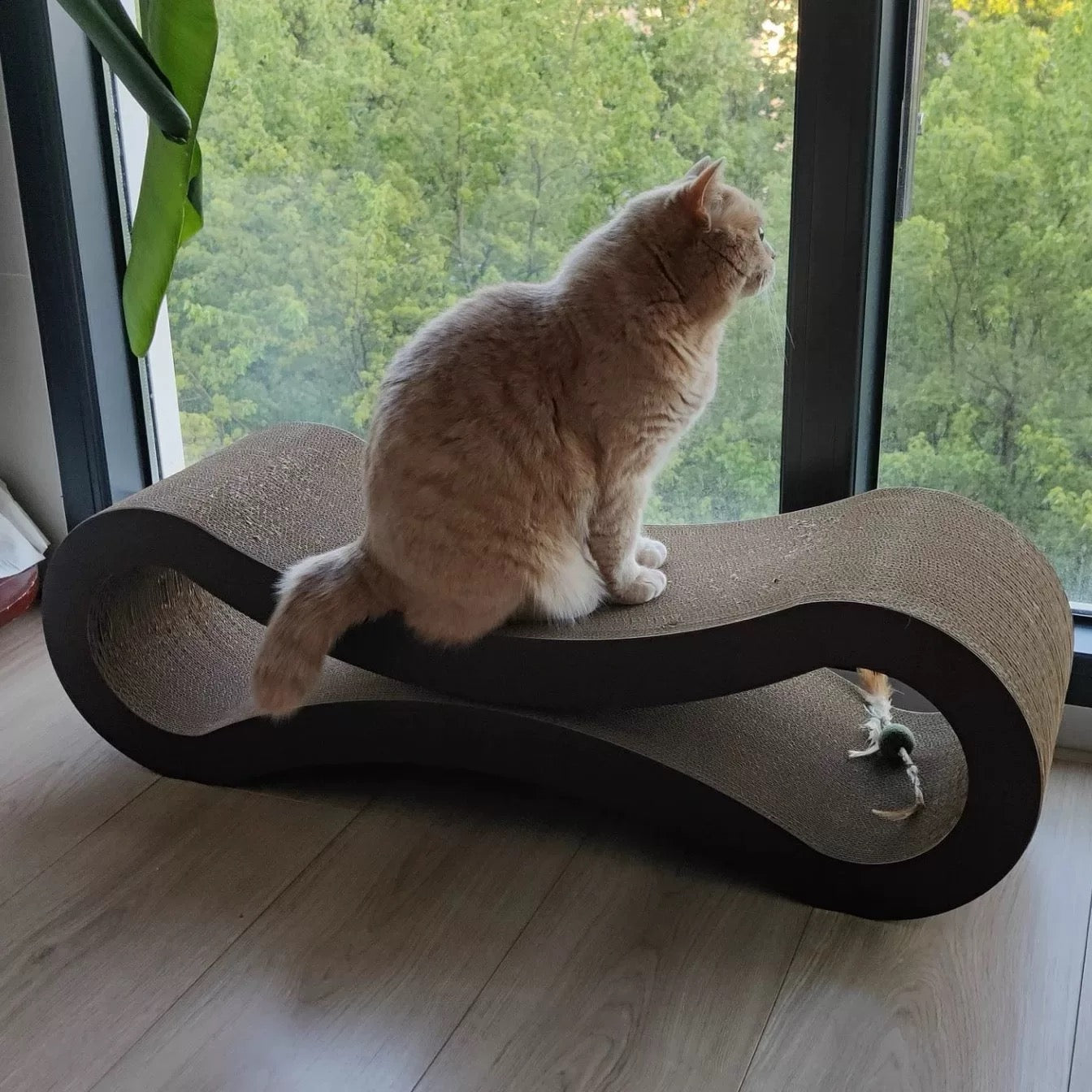 Ultimate Cat Scratcher Lounge 86x26.7x26.7cm