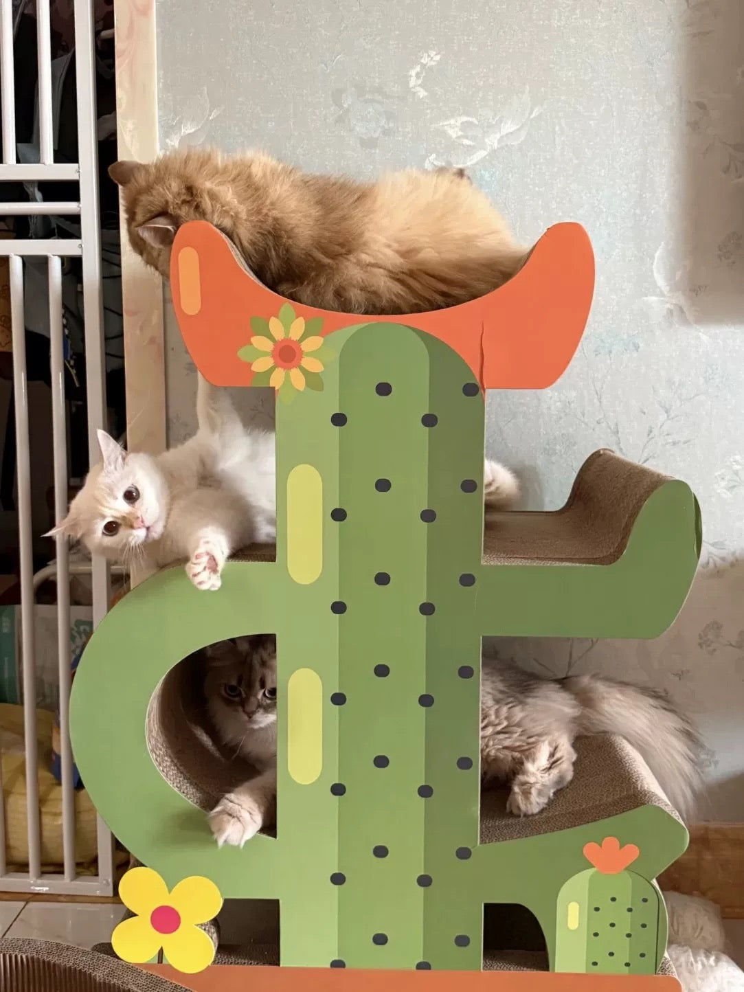Cactus Cat Scratcher  Can Park 4 Cats 89*60*35.5cm