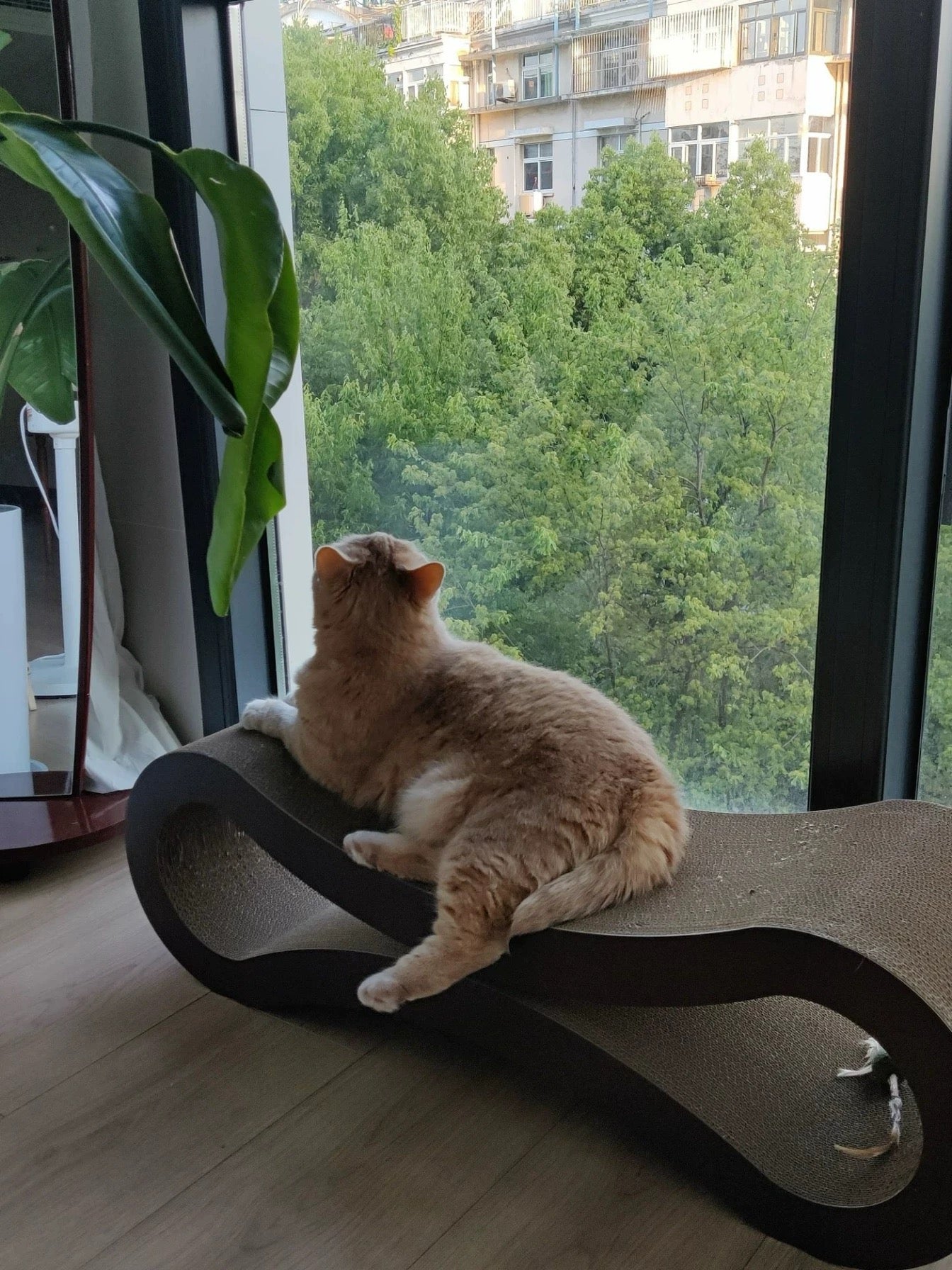 Ultimate Cat Scratcher Lounge 86x26.7x26.7cm