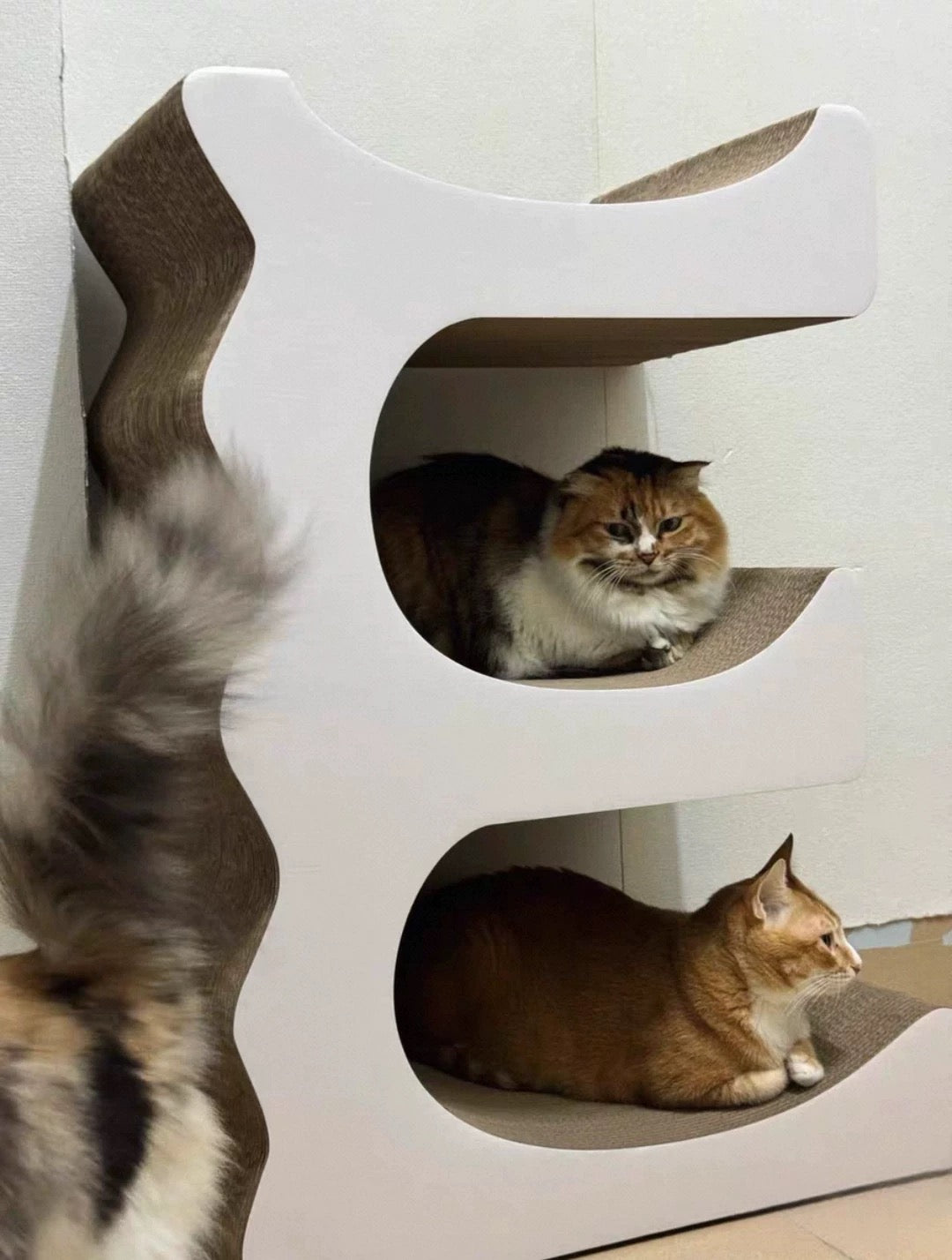 E Cat Scratcher Can Park 3 Cats 80.5*60*35.5cm