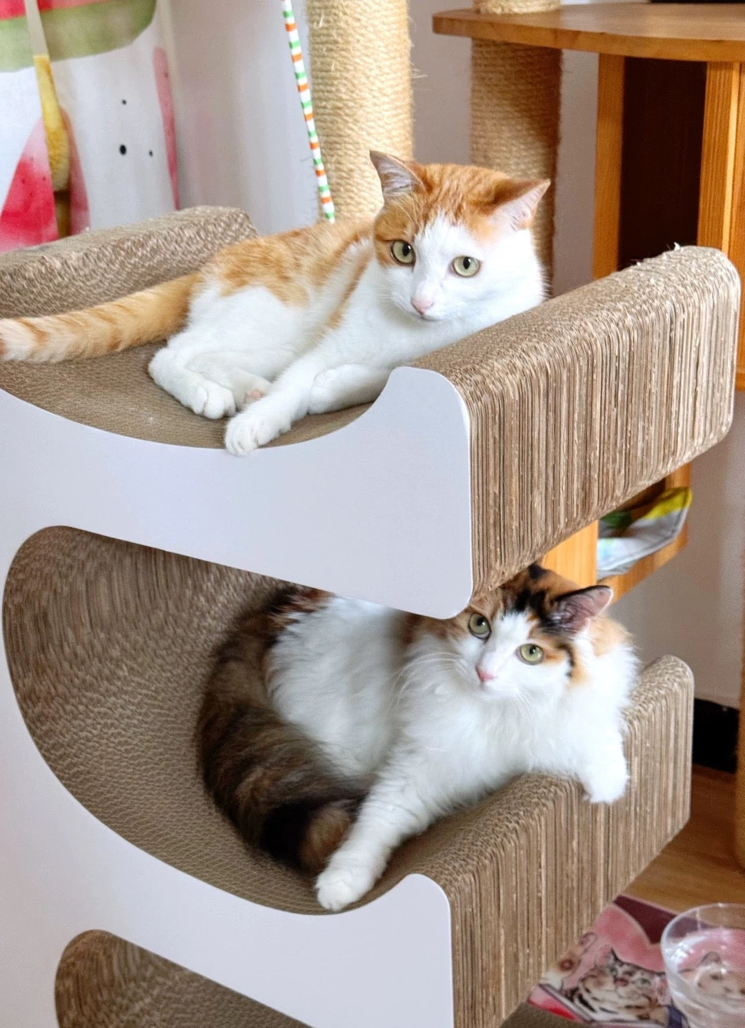 E Cat Scratcher Can Park 3 Cats 80.5*60*35.5cm