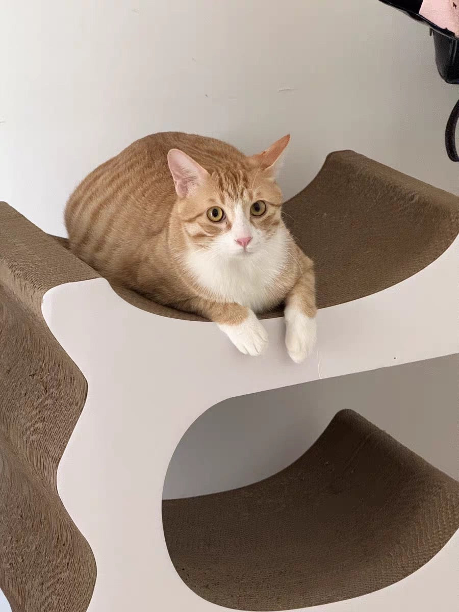 E Cat Scratcher Can Park 3 Cats 80.5*60*35.5cm