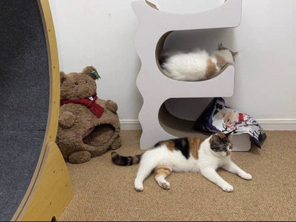 E Cat Scratcher Can Park 3 Cats 80.5*60*35.5cm