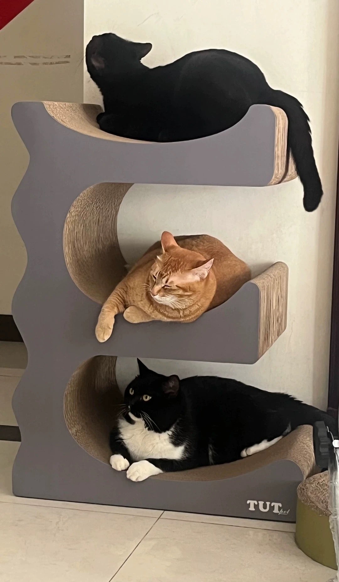 E Cat Scratcher Can Park 3 Cats 80.5*60*35.5cm