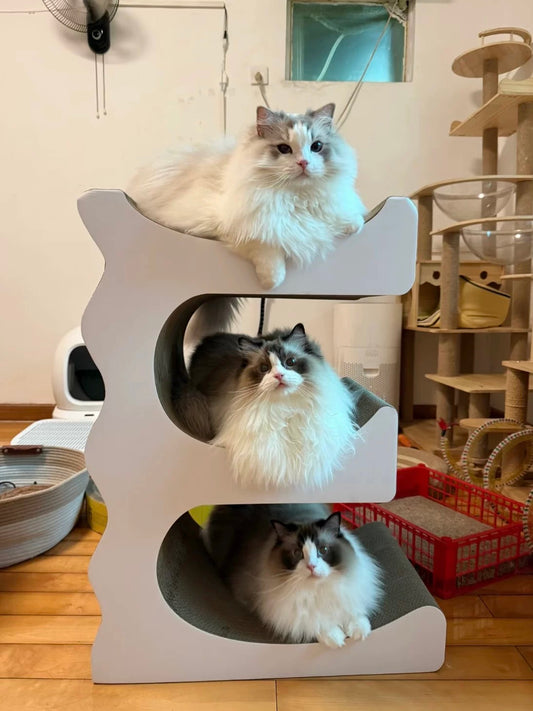 E Cat Scratcher Can Park 3 Cats 80.5*60*35.5cm