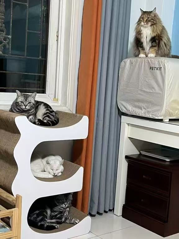 E Cat Scratcher Can Park 3 Cats 80.5*60*35.5cm