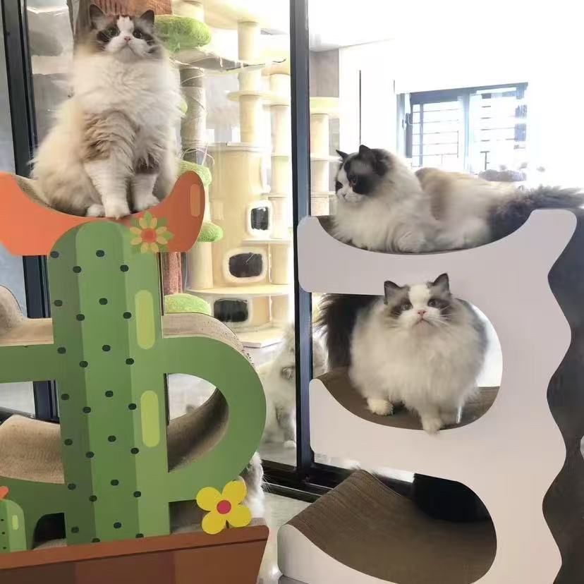 E Cat Scratcher Can Park 3 Cats 80.5*60*35.5cm