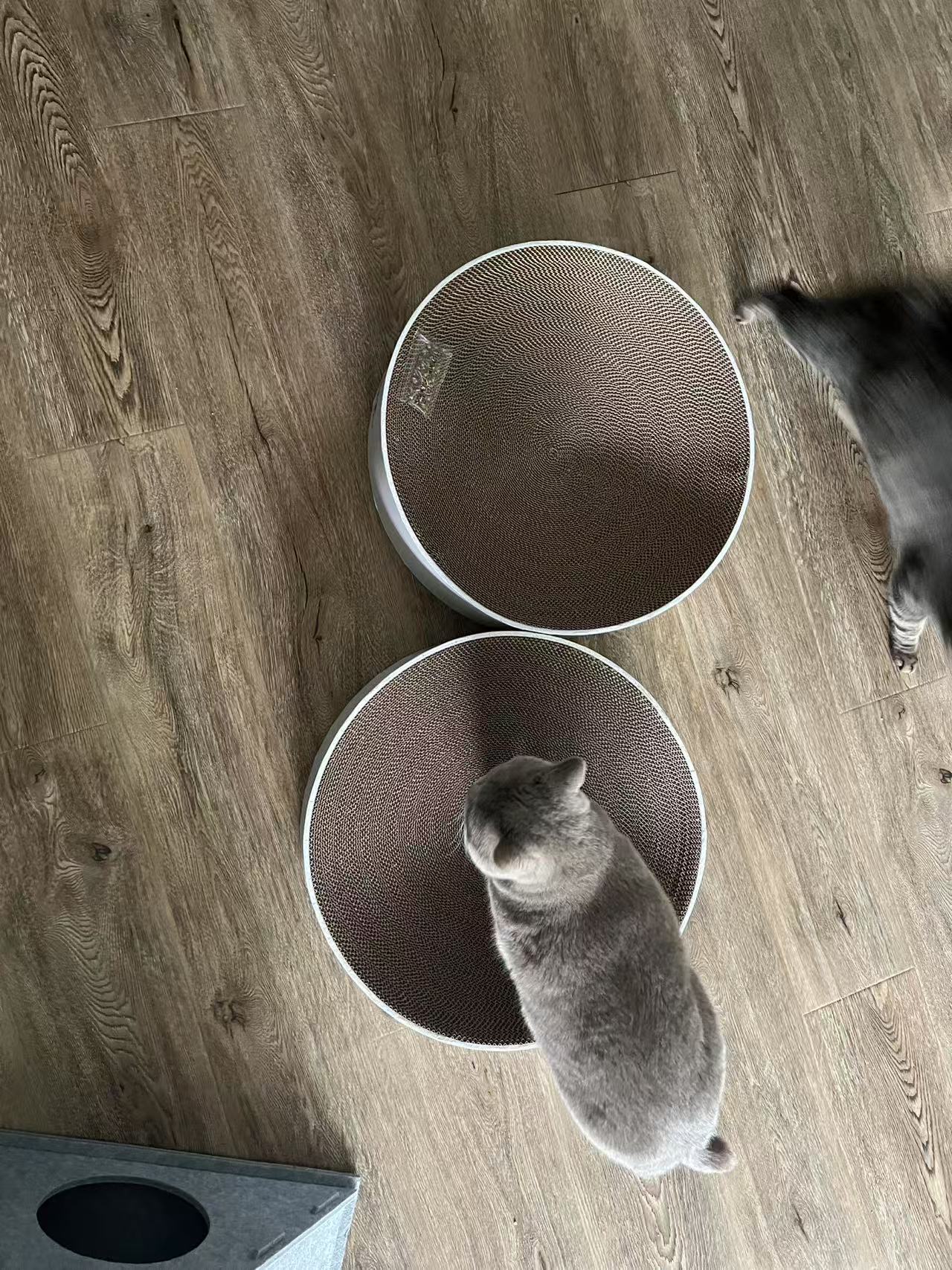 Circle cat scratcher 50*12cm