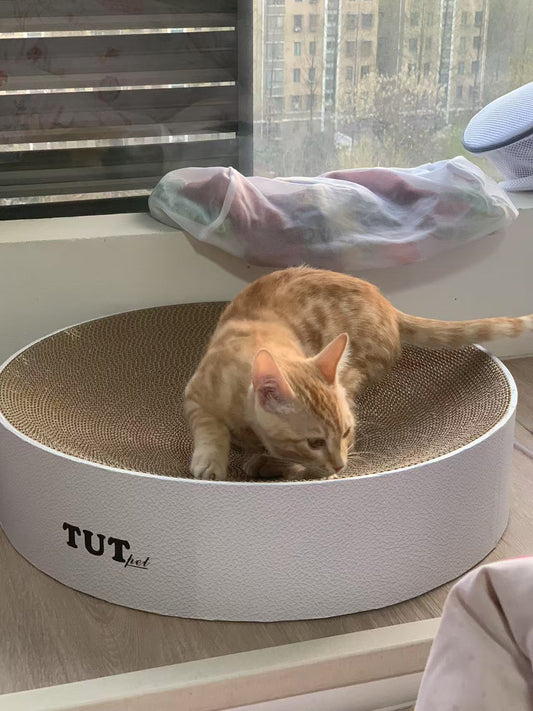 Circle cat scratcher 50*12cm