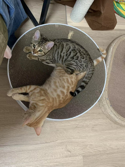 Circle cat scratcher 50*12cm