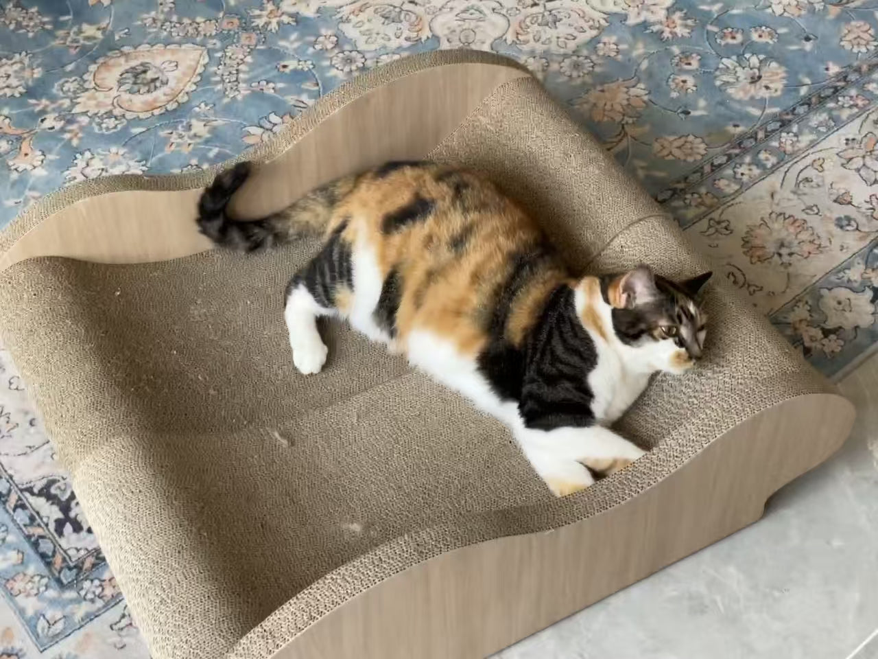 Sofa Cat Scratcher 67*29*20cm*2