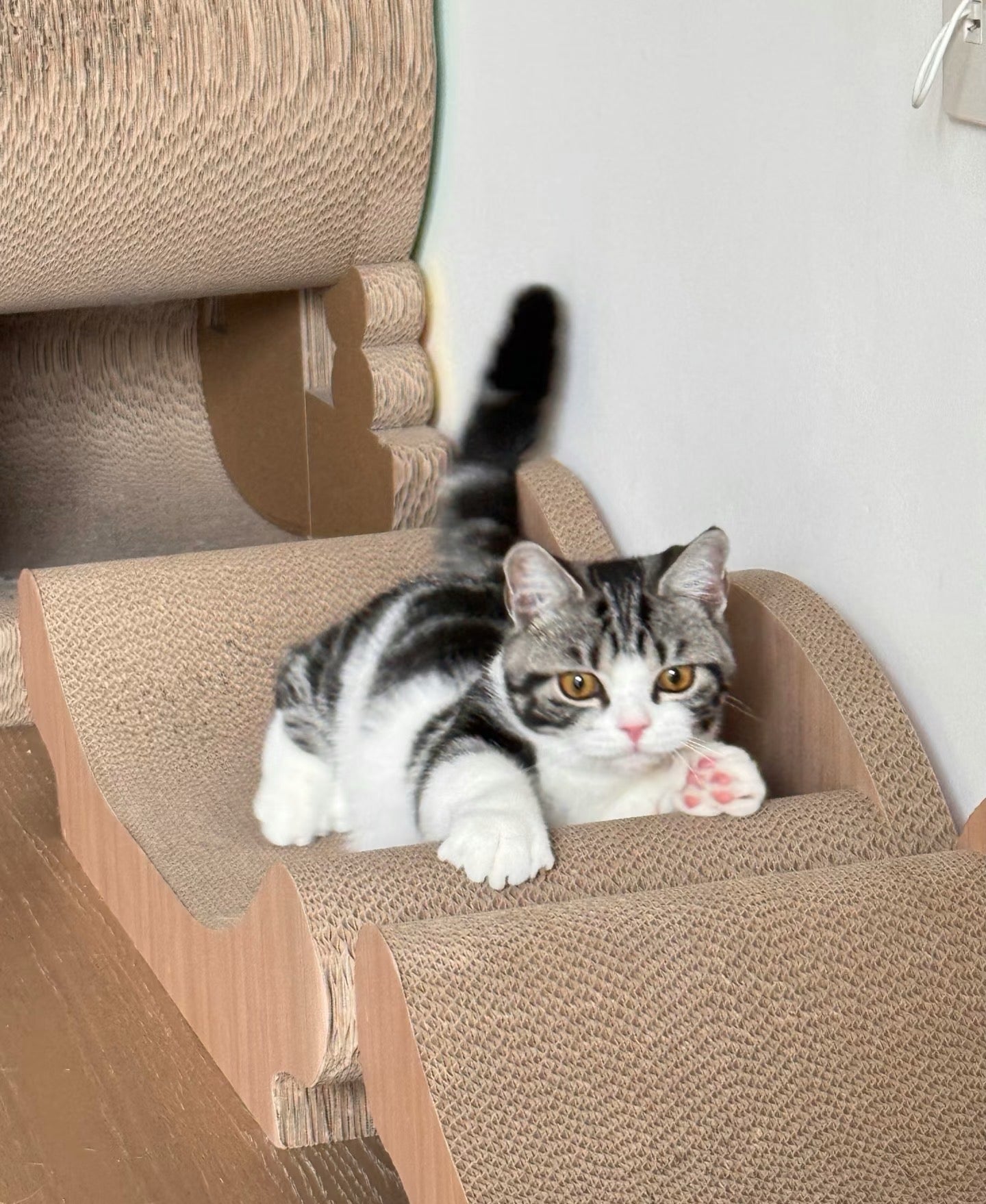 Sofa Cat Scratcher 67*29*20cm*2