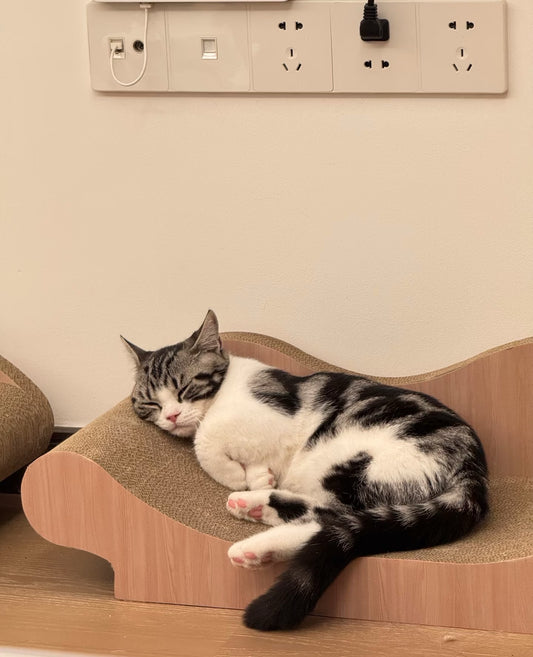 Sofa Cat Scratcher 67*29*20cm*2