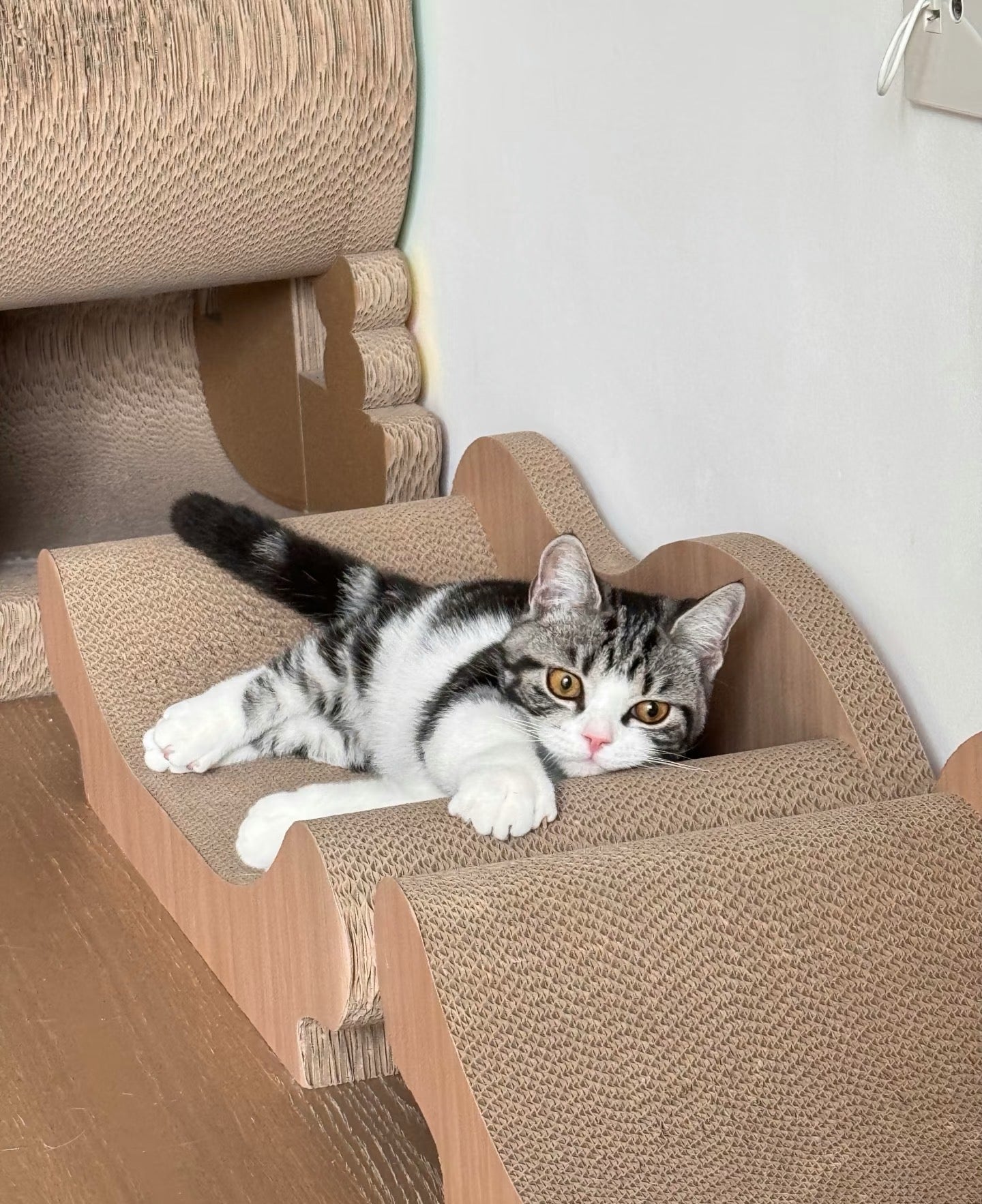 Sofa Cat Scratcher 67*29*20cm*2