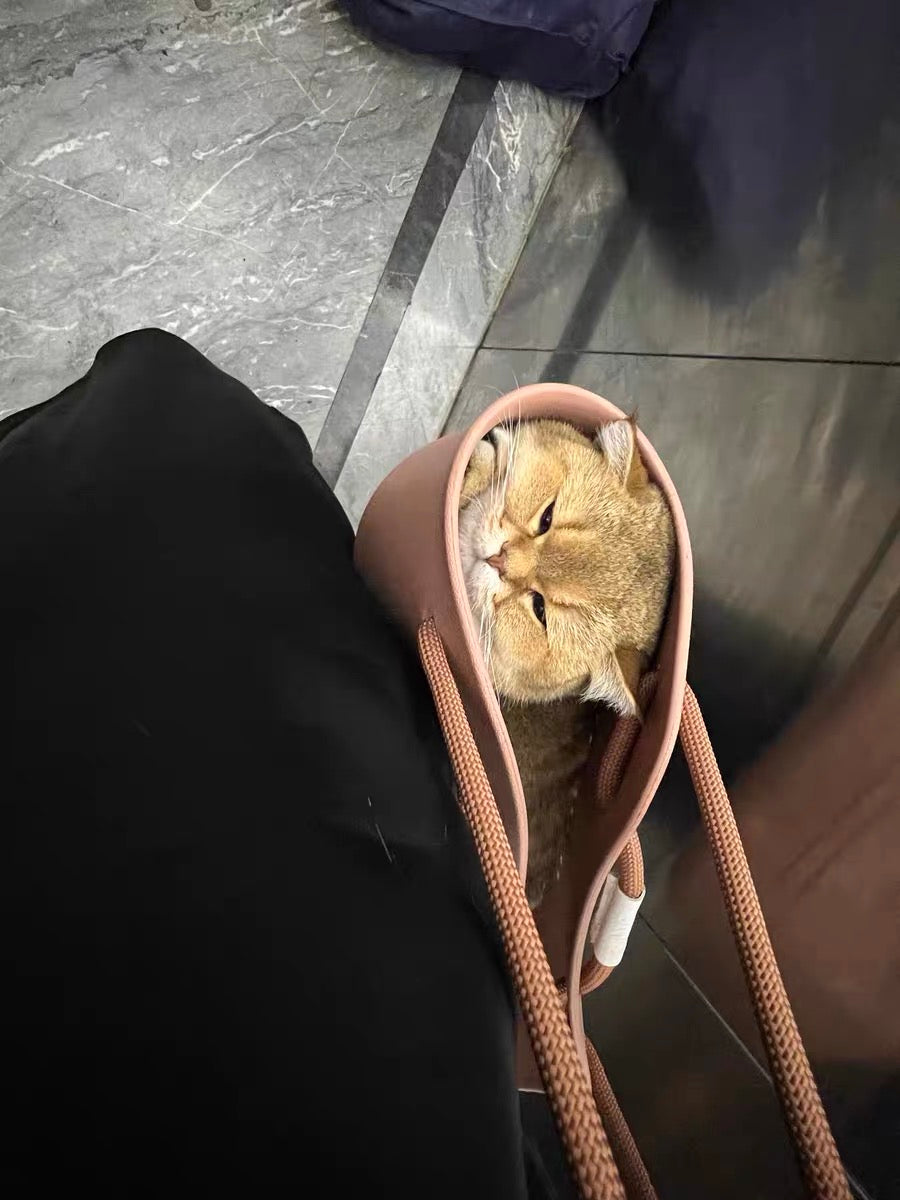 EVA bag cat/dog 57*35*50cm