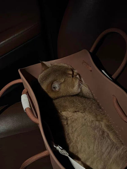 EVA bag cat/dog 57*35*50cm