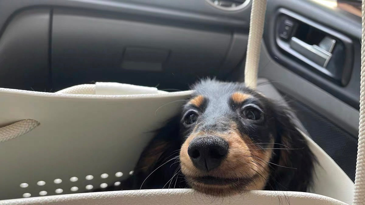 EVA bag cat/dog 57*35*50cm