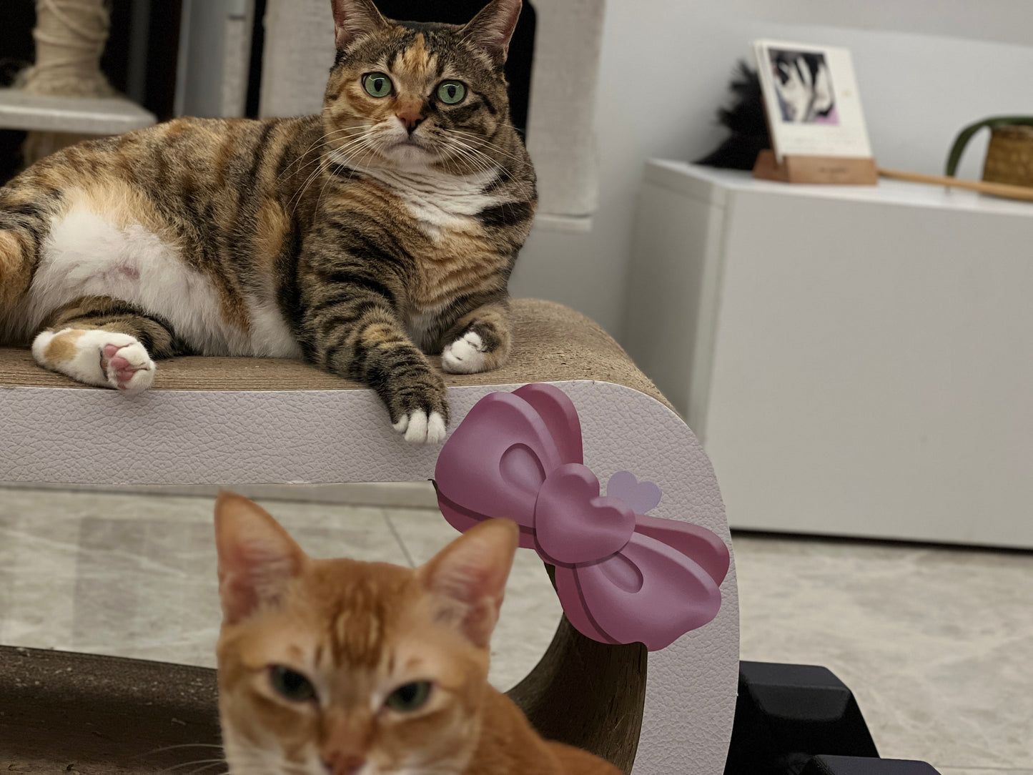 Rectangular cat scratcher 99*34.5*36cm