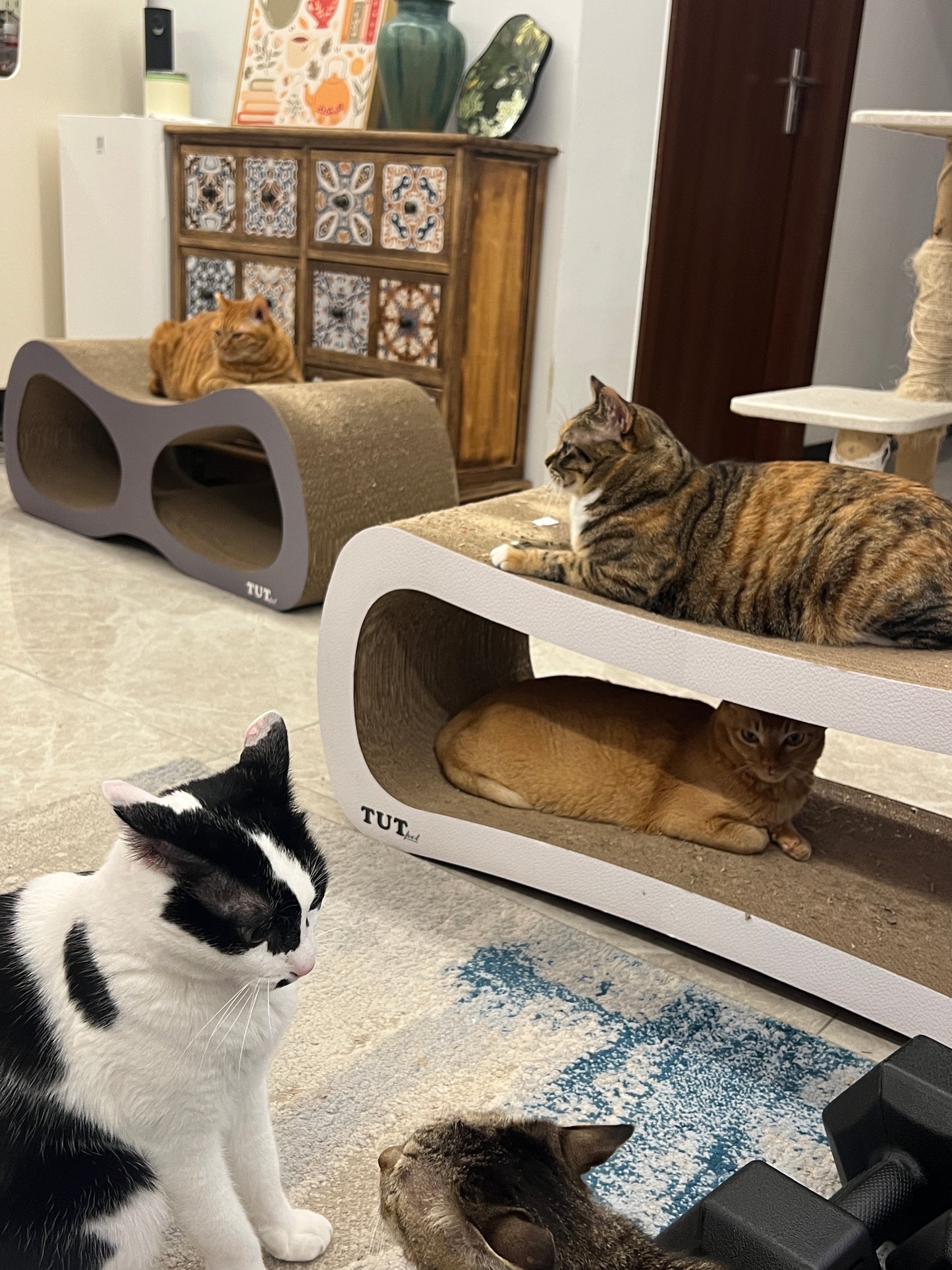 Rectangular cat scratcher 99*34.5*36cm