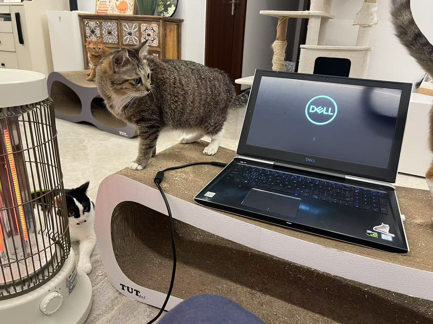 Rectangular cat scratcher 99*34.5*36cm