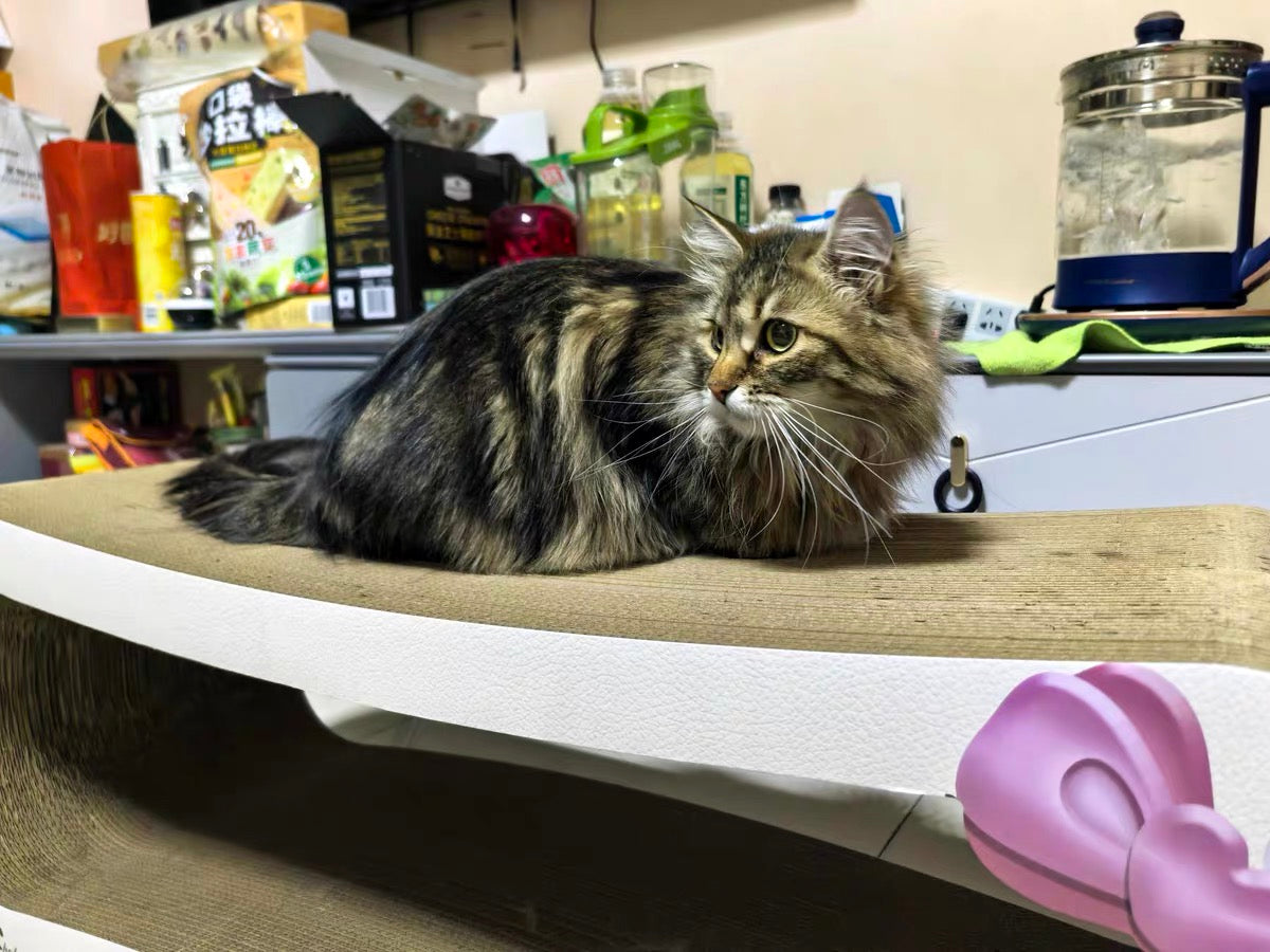 Rectangular cat scratcher 99*34.5*36cm