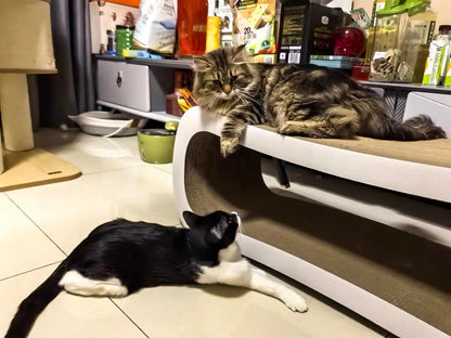 Rectangular cat scratcher 99*34.5*36cm