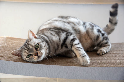 Rectangular cat scratcher 99*34.5*36cm