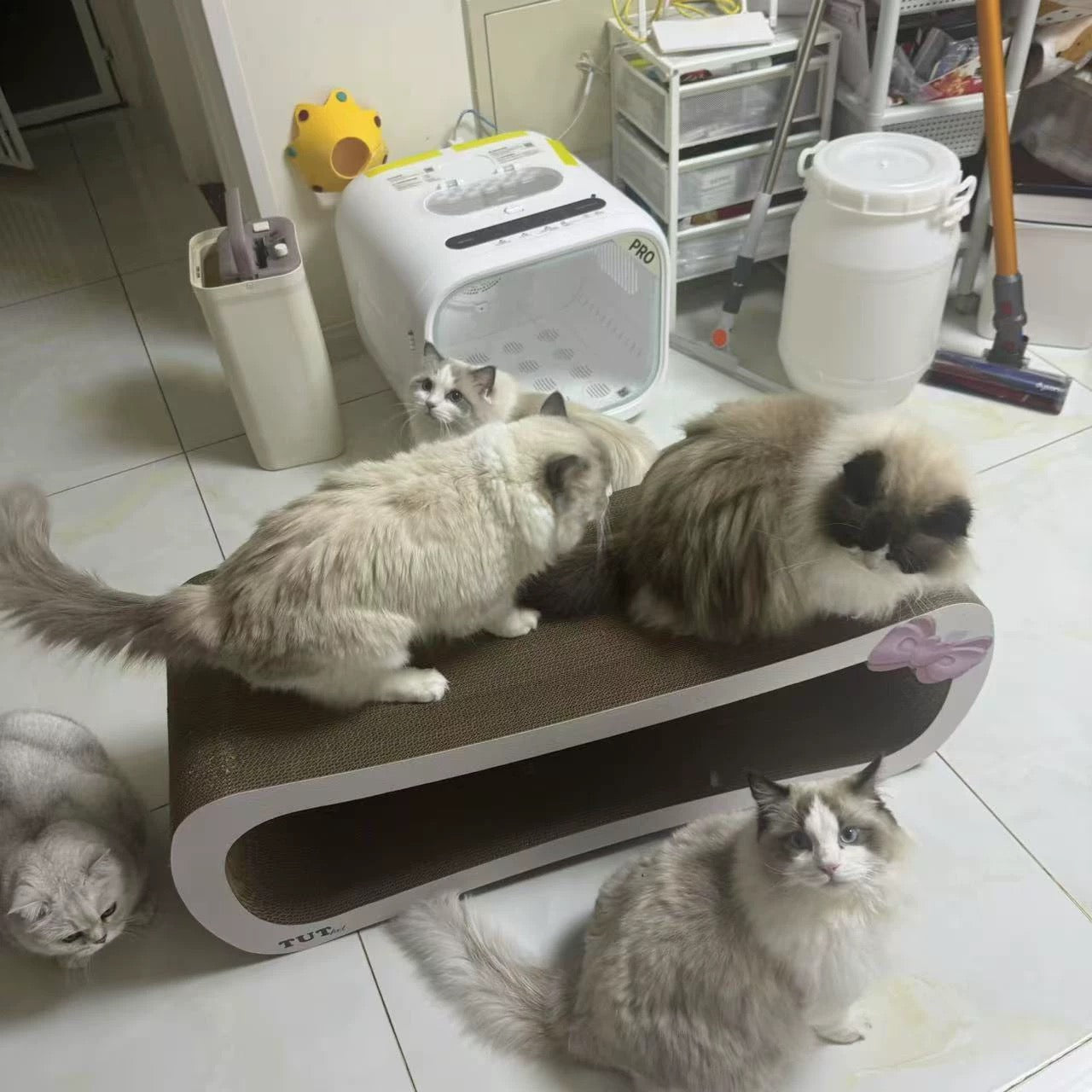 Rectangular cat scratcher 99*34.5*36cm