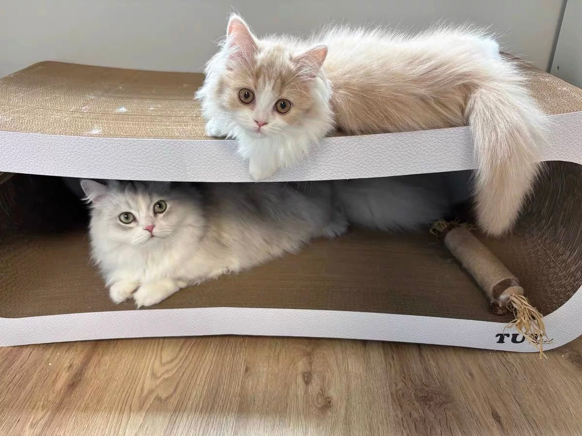 Rectangular cat scratcher 99*34.5*36cm