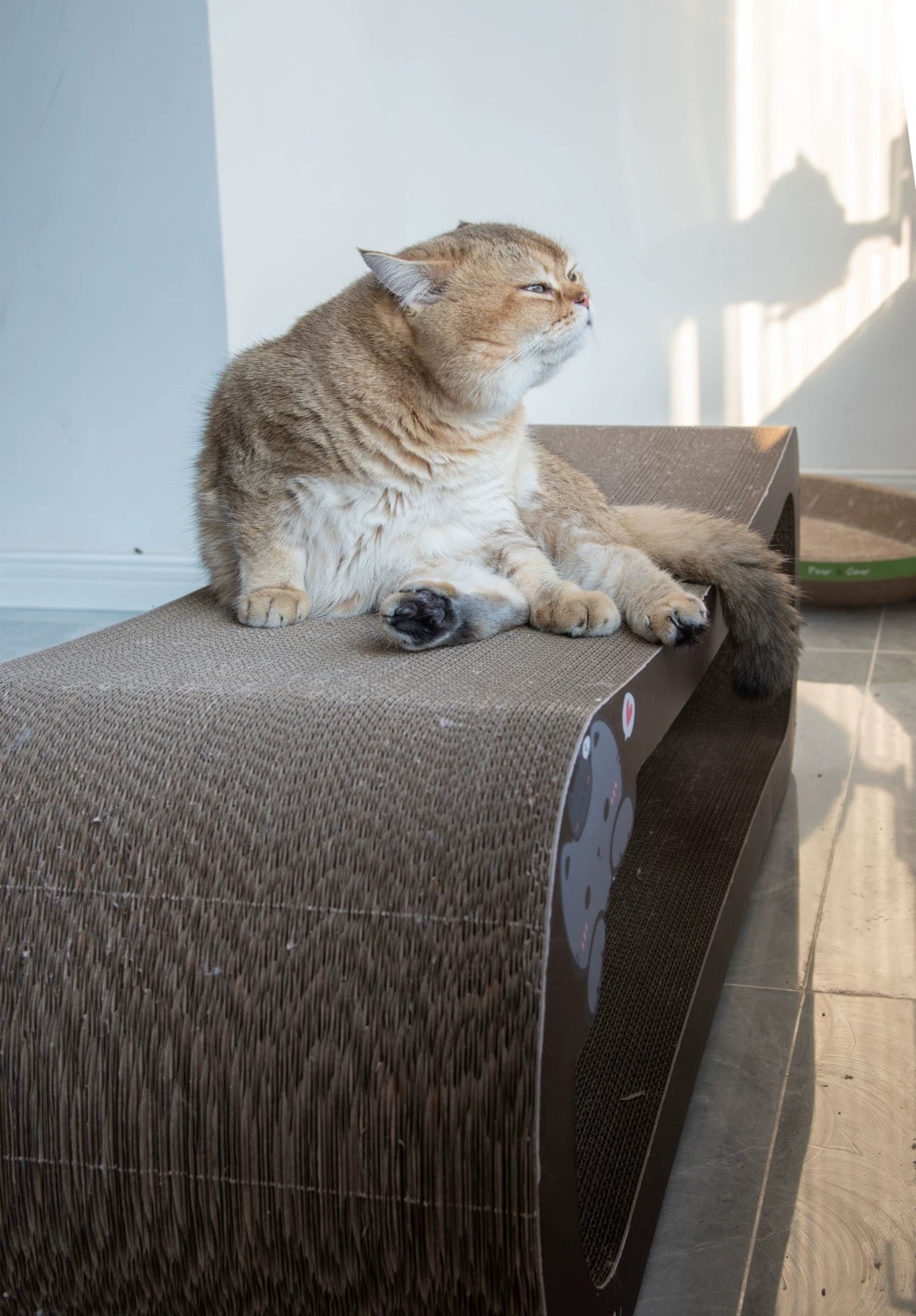 Coffee Cat cat scratcher 99*34.5*36cm