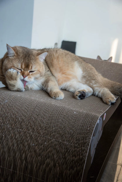 Coffee Cat cat scratcher 99*34.5*36cm