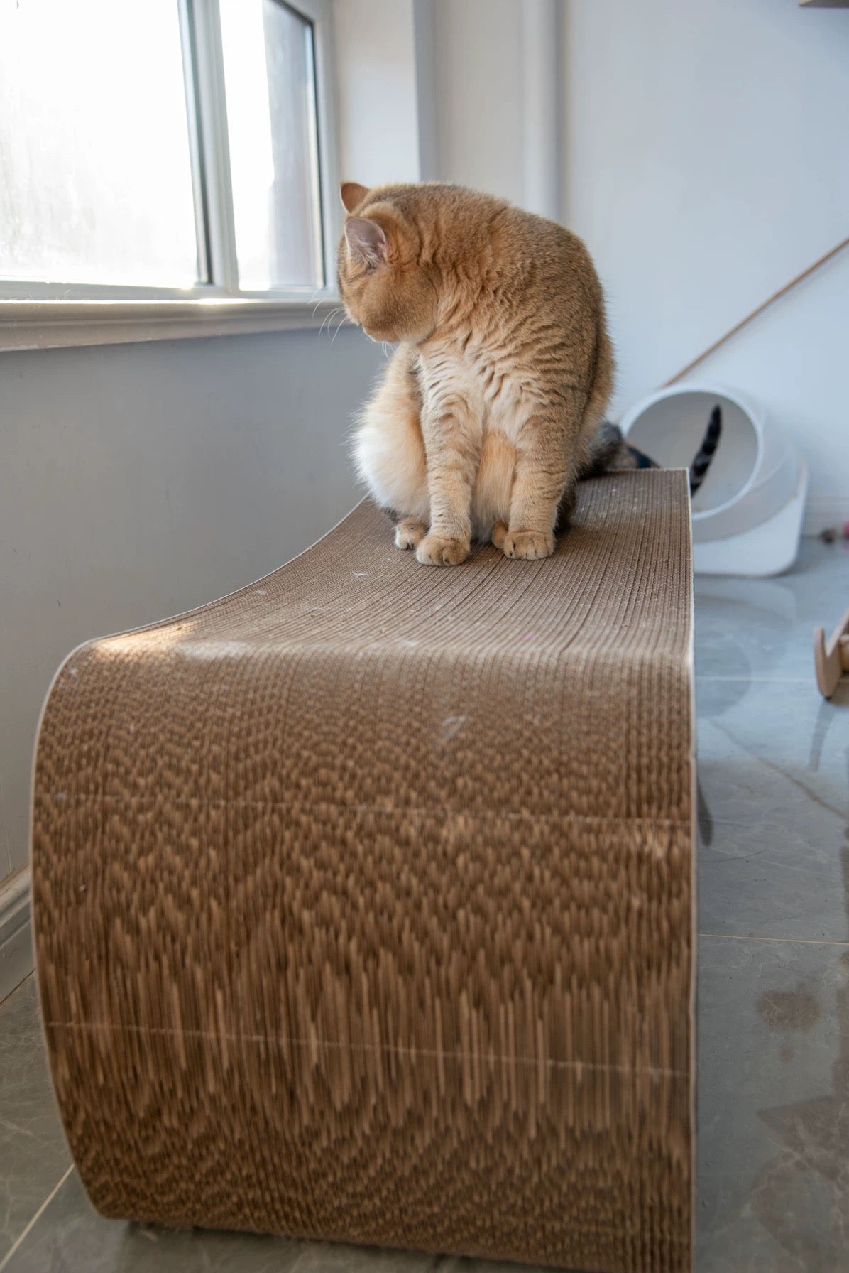 Coffee Cat cat scratcher 99*34.5*36cm