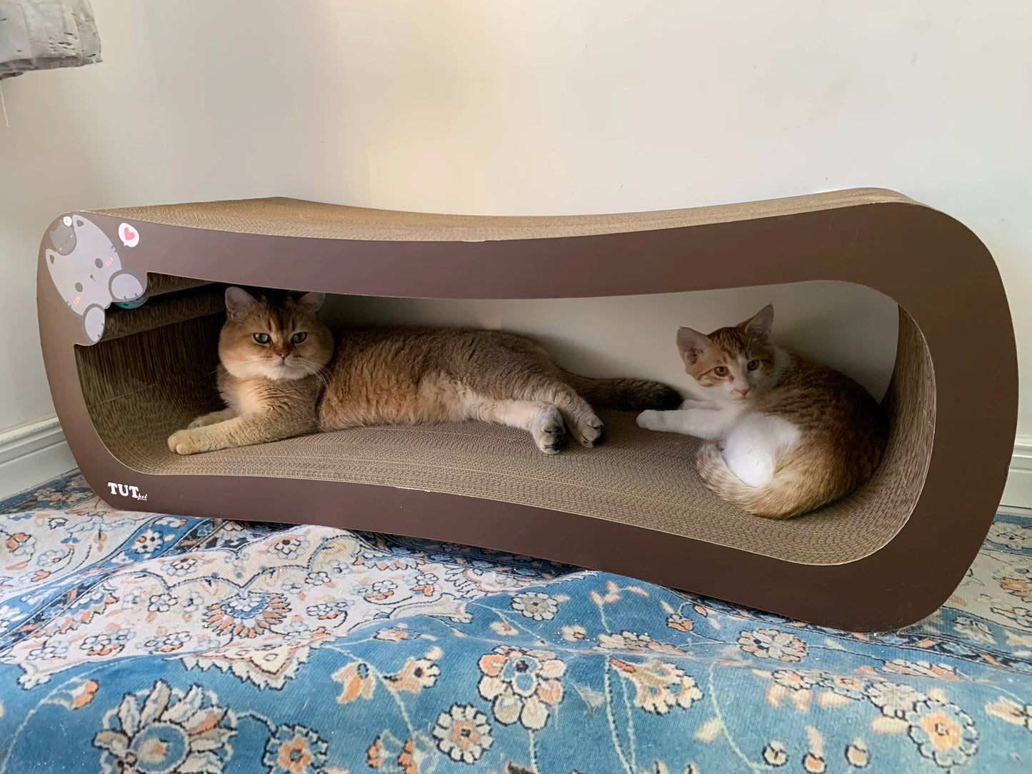 Coffee Cat cat scratcher 99*34.5*36cm