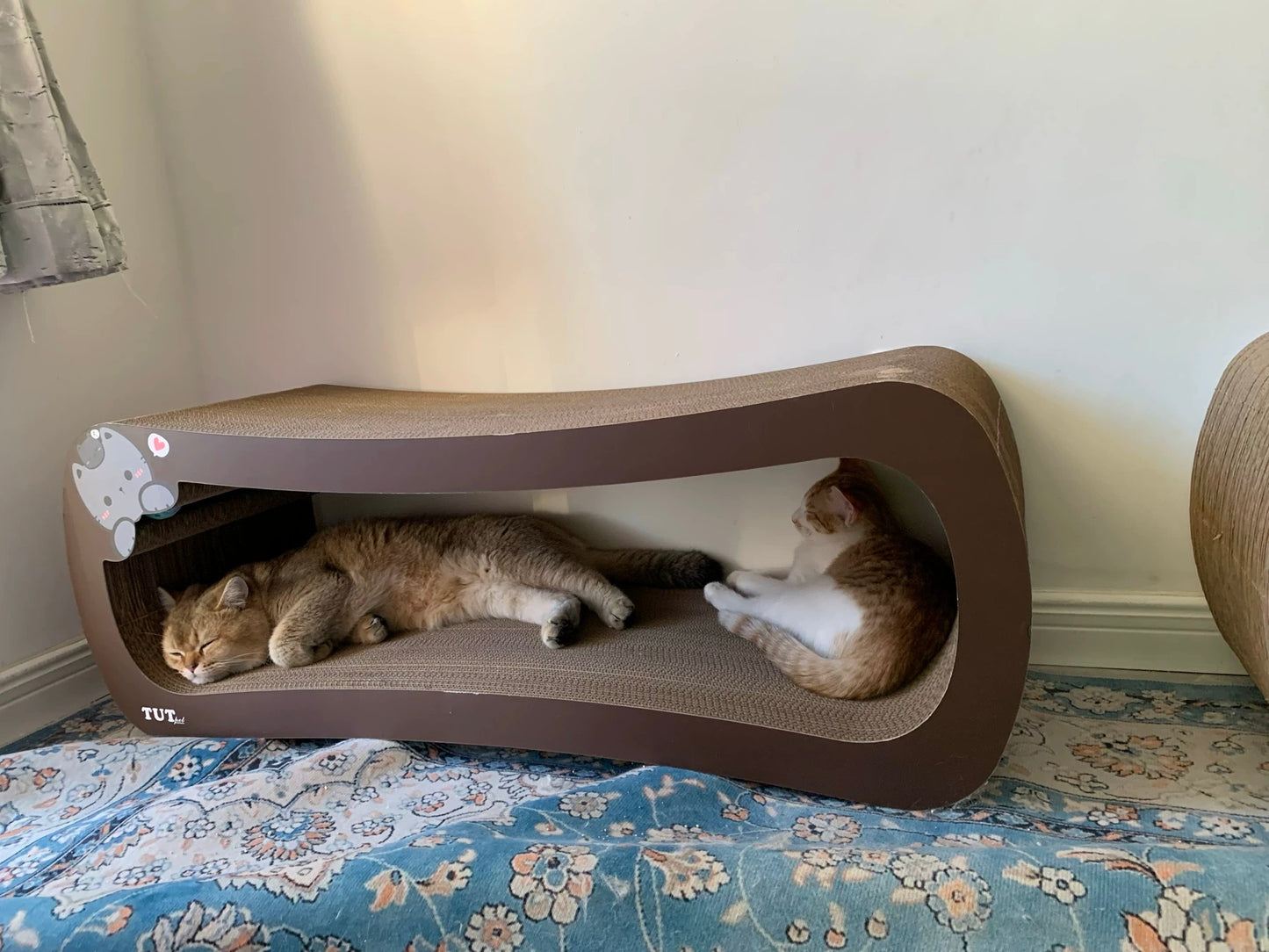 Coffee Cat cat scratcher 99*34.5*36cm