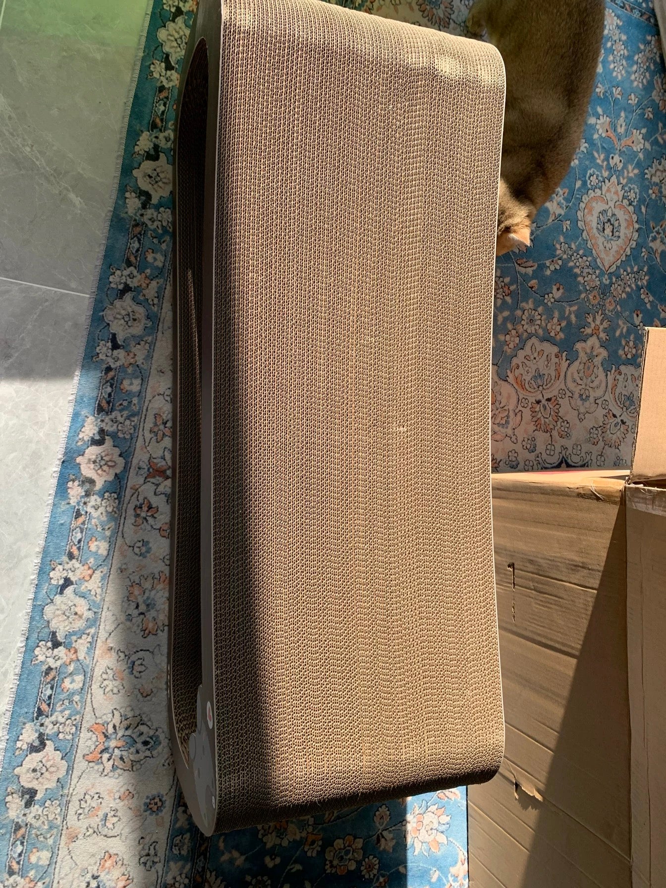 Coffee Cat cat scratcher 99*34.5*36cm