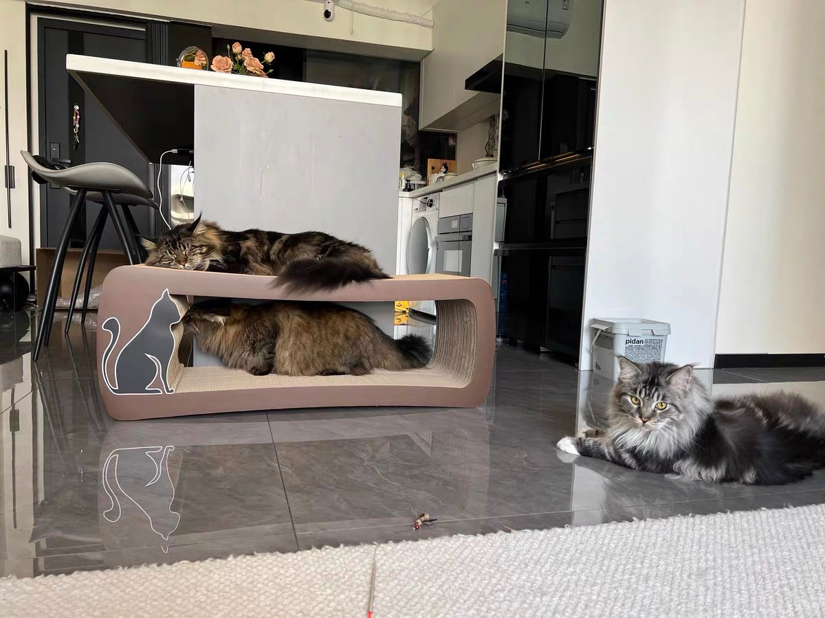 Brown long-tailed cat scratcher