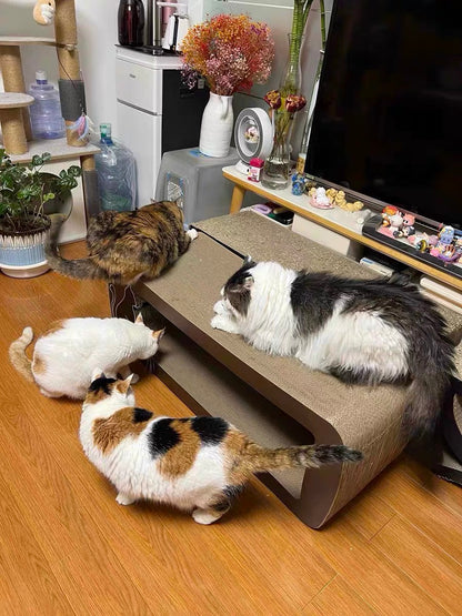 Brown long-tailed cat scratcher