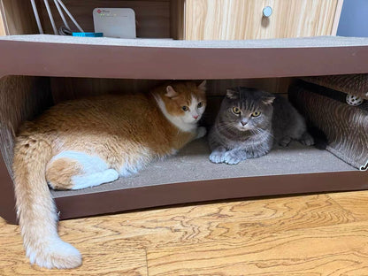 Brown long-tailed cat scratcher