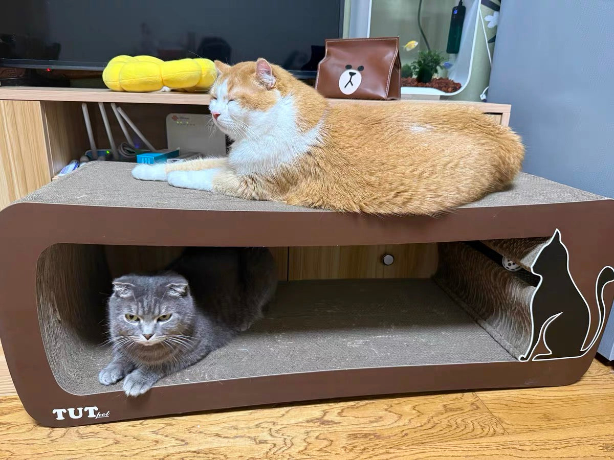 Brown long-tailed cat scratcher