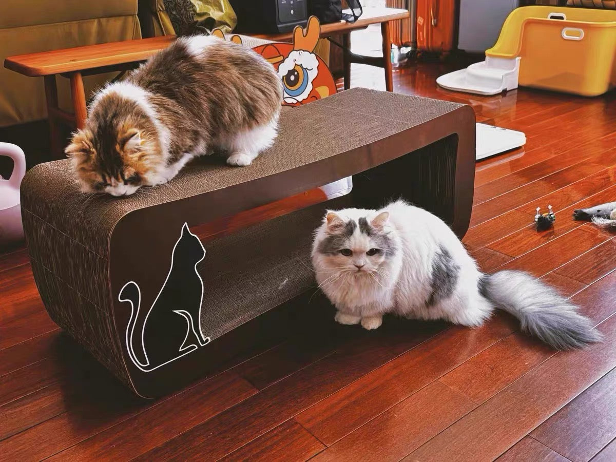 Brown long-tailed cat scratcher