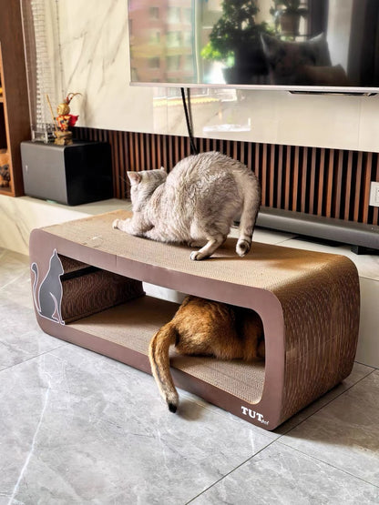 Brown long-tailed cat scratcher