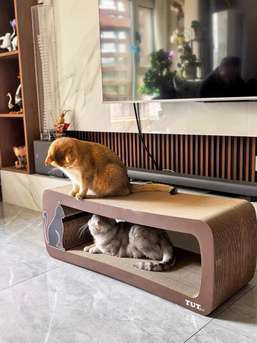 Brown long-tailed cat scratcher