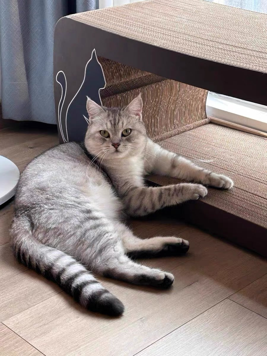 Brown long-tailed cat scratcher