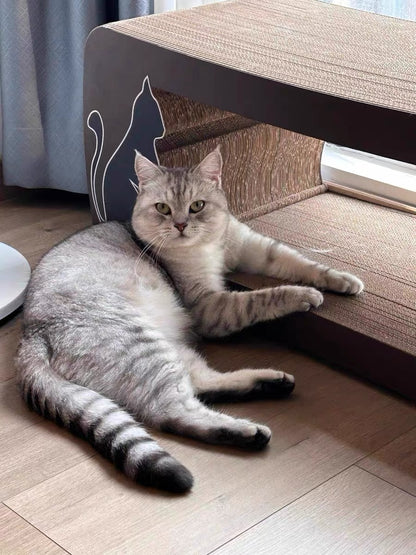 Brown long-tailed cat scratcher