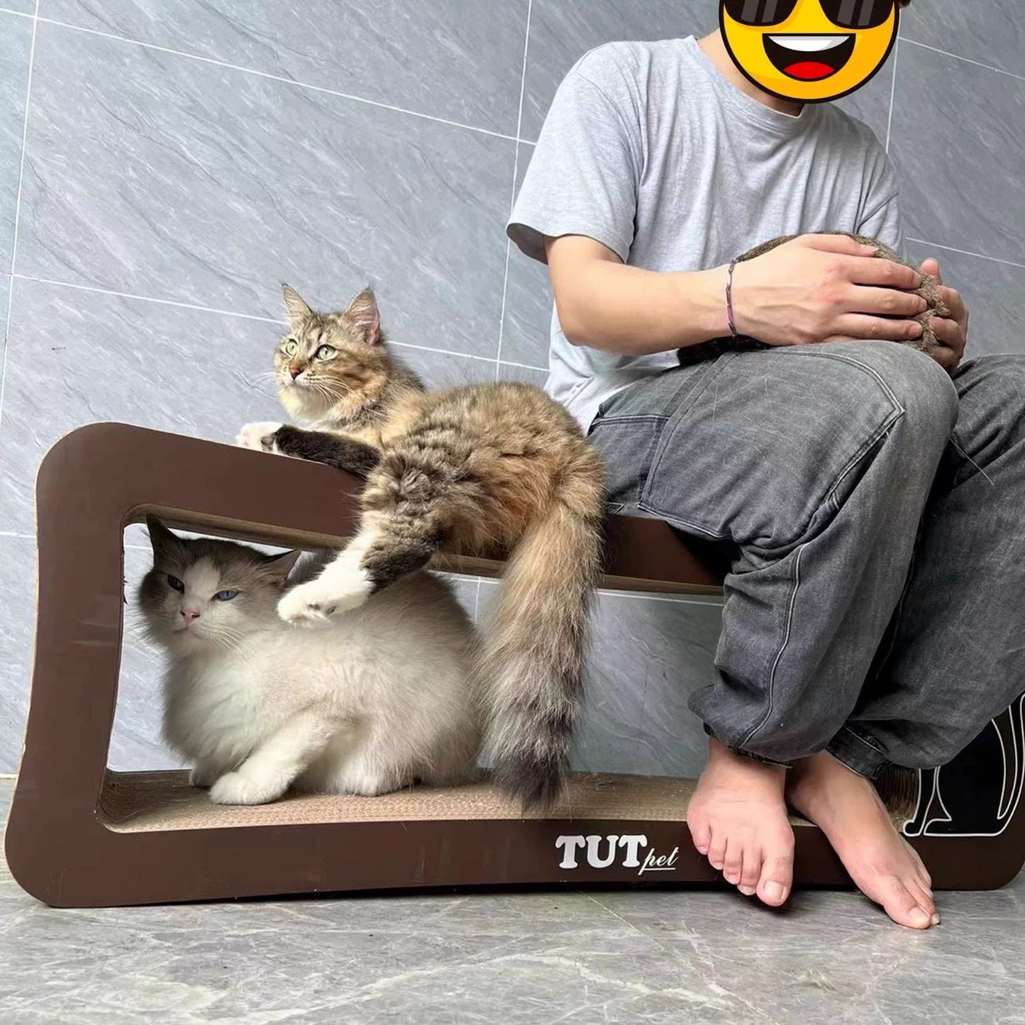 Brown long-tailed cat scratcher