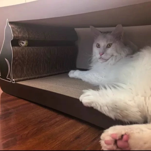 Brown long-tailed cat scratcher